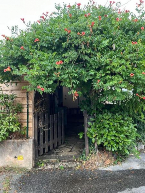 Charmante maison provençale